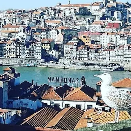 Guestready - Douro River View Penthouse